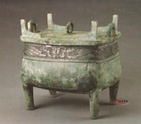 冬方鼎甲 冬方鼎甲