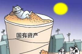 行政單位國有資產