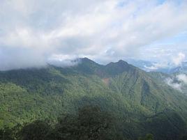 納板河流域國家級自然保護區 納板河流域國家級自然保護區
