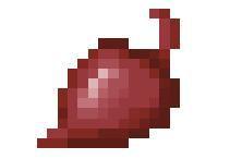 甜菜根[遊戲[Minecraft]中的一種食物]