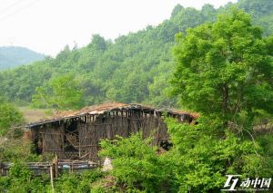 夾道子村 夾道子村