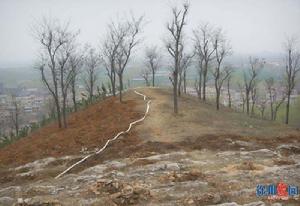 楚元王世家 楚元王世家