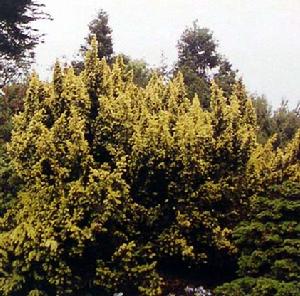 麻陽河自然保護區