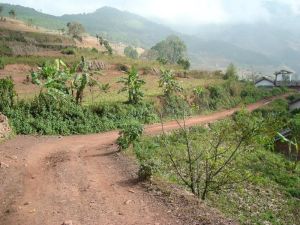 牛泥塘村 牛泥塘村