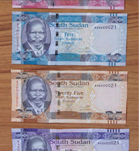 南蘇丹鎊 南蘇丹鎊