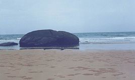 深滬灣國家地質公園 深滬灣國家地質公園