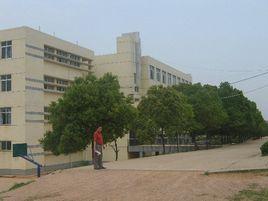 光谷三中 光谷三中