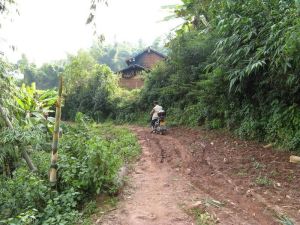 大平寨自然村 大平寨自然村