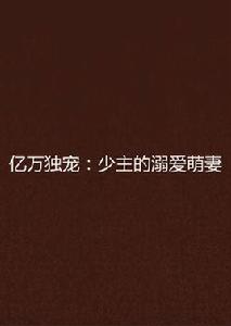 億萬獨寵：少主的溺愛萌妻