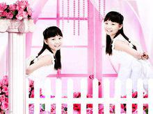 音樂女孩趙天鴿