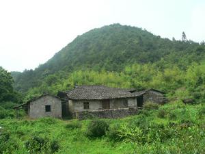 福建君子峰國家級自然保護區（2）