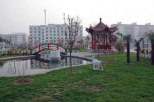 中醫藥文化博覽園 中醫藥文化博覽園