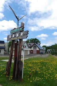 白金溫泉 白金溫泉