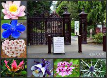 塔斯馬尼亞皇家植物園