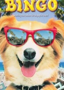 靈犬賓果 靈犬賓果