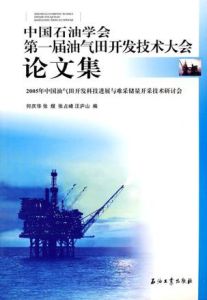 中國石油學會第一屆油氣田開發技術大會論文集 中國石油學會第一屆油氣田開發技術大會論文集