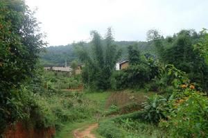 毛中自然村 毛中自然村