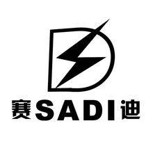 賽迪集團 賽迪集團