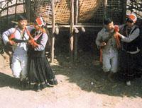 達比亞舞 達比亞舞