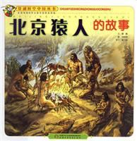 北京猿人的故事