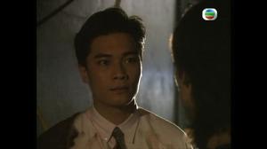 夢裡伊人[1991年蔣家駿執導電視劇]