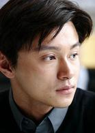 梅艷芳菲[2007年趙寶剛執導電視劇]