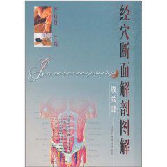 經穴斷面解剖圖解:腹盆部 經穴斷面解剖圖解:腹盆部