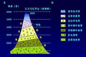 氣候地帶性 氣候地帶性