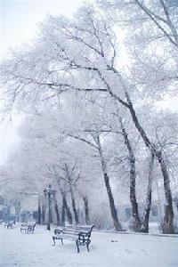 雙豐林業局 雙豐林業局