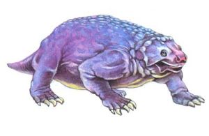 兩鑿齒龍 兩鑿齒龍