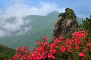 金剛台國家級地質公園