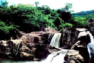 甘什嶺鐵棱自然保護區 甘什嶺鐵棱自然保護區