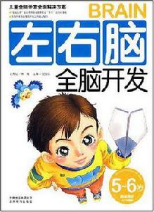 左右腦全腦開發 左右腦全腦開發
