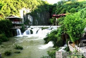 百里杜鵑國家森林公園