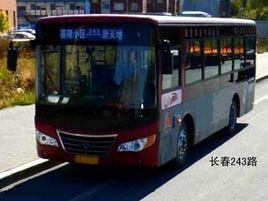 長春公交243路 長春公交243路