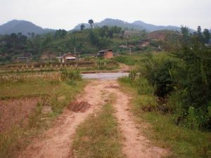 百家箐一自然村 百家箐一自然村