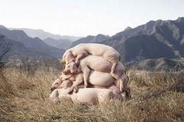 我也愛當代藝術 我也愛當代藝術