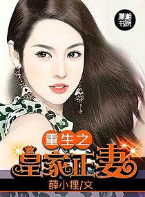 重生之皇家正妻