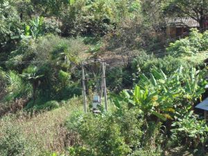 老沈寨自然村 老沈寨自然村