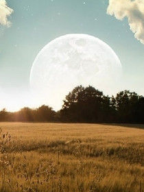 草原的月亮