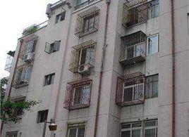 東花市北里中區