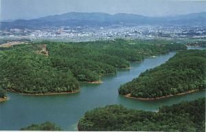 梅子湖公園 梅子湖公園