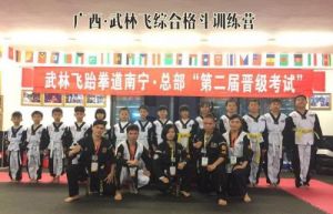 廣西武林飛綜合格鬥