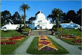 舊金山金門公園 舊金山金門公園