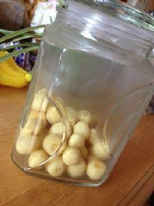 嬰兒小饅頭 嬰兒小饅頭