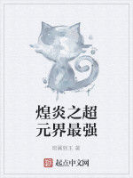 煌炎之超元界最強 煌炎之超元界最強