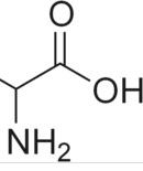 高半胱氨酸 高半胱氨酸