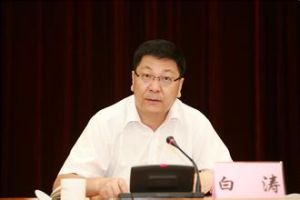 白濤[中央匯金公司總經理]