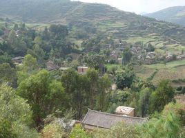 平地村[雲南省玉溪市華寧縣寧州鎮平地村]