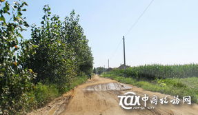 王家流河村 王家流河村